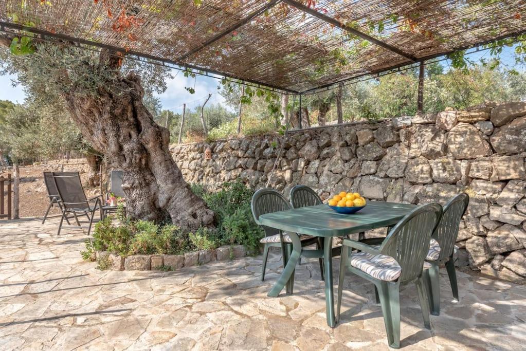 Deià semi-detached sunny country house, near GR221 Deia Exterior foto
