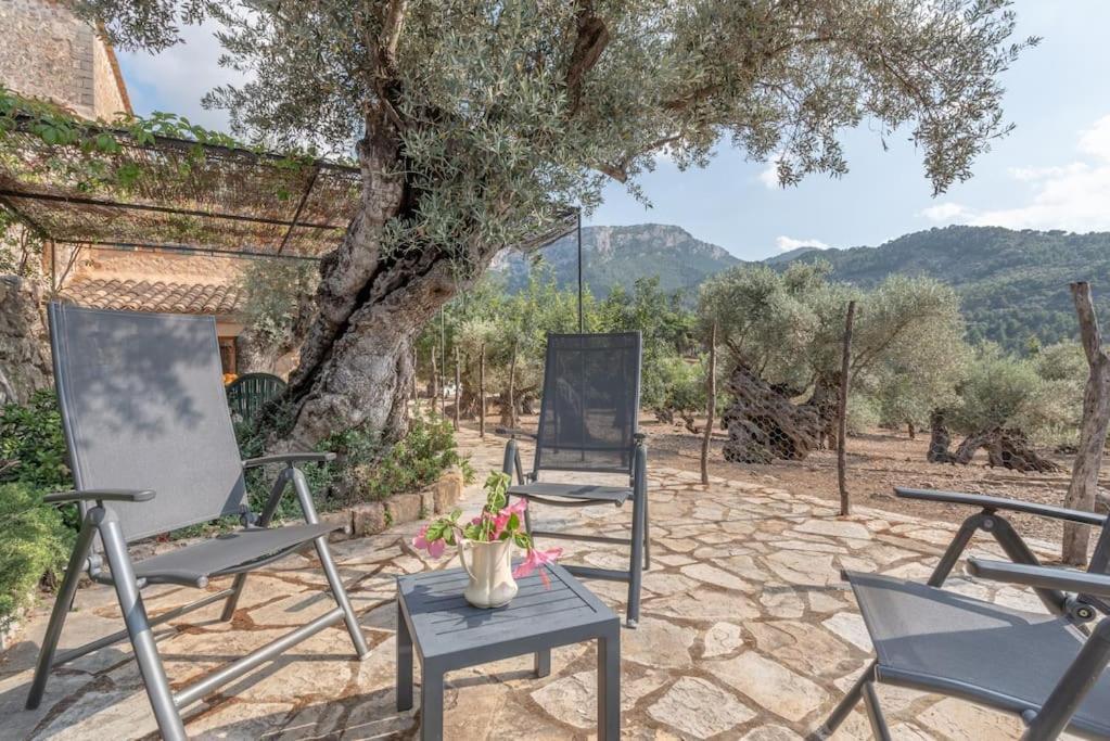 Deià semi-detached sunny country house, near GR221 Deia Exterior foto