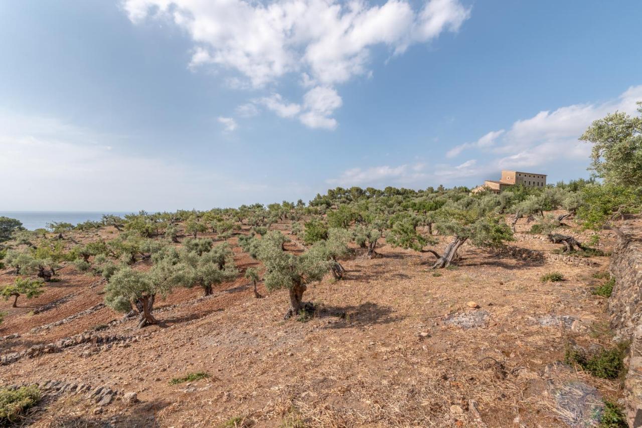 Deià semi-detached sunny country house, near GR221 Deia Exterior foto