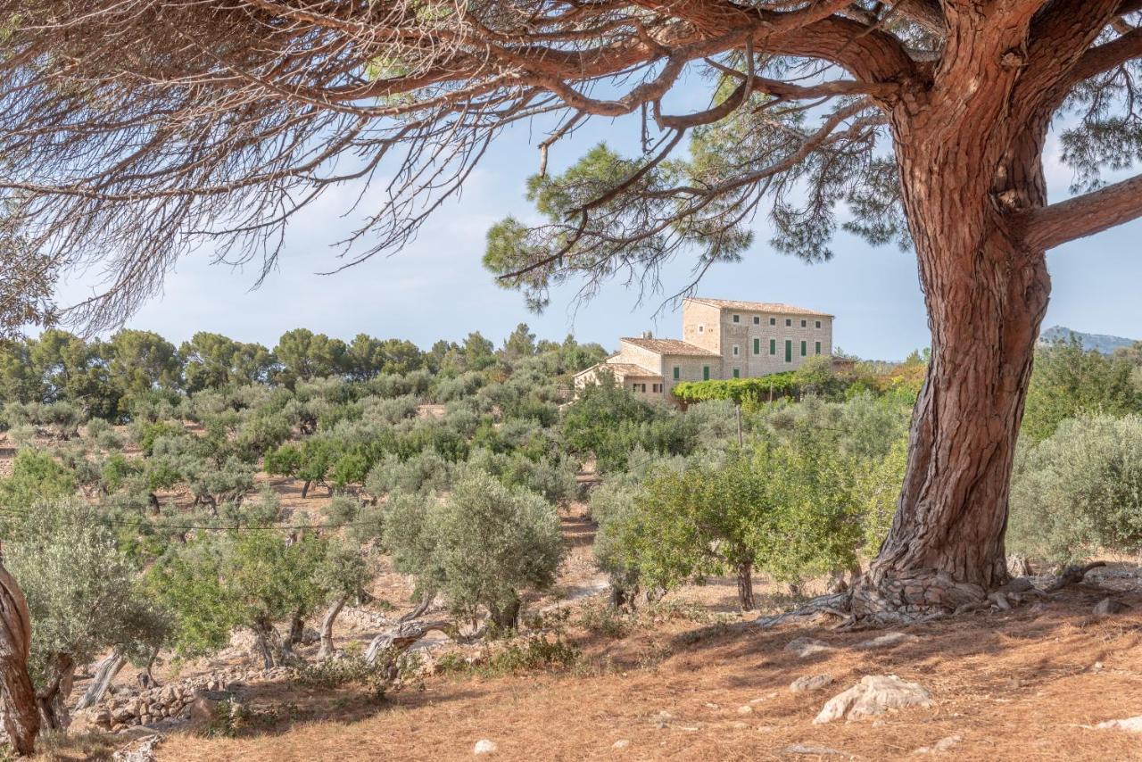 Deià semi-detached sunny country house, near GR221 Deia Exterior foto
